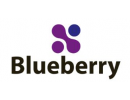 Blueberry