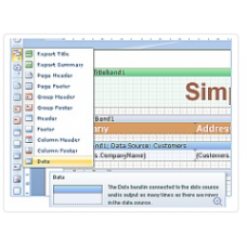 Stimulsoft Reports.Flex