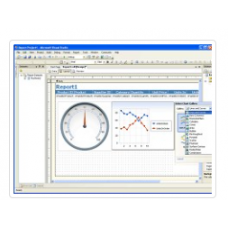 Chart FX for Reporting Services 